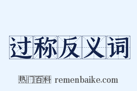 过称反义词是什么意思的图片